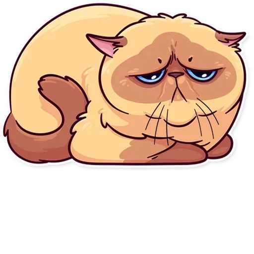 Meme Katz - Sticker 17