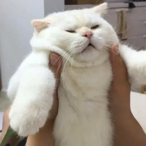 Fluff 1 - Sticker 28