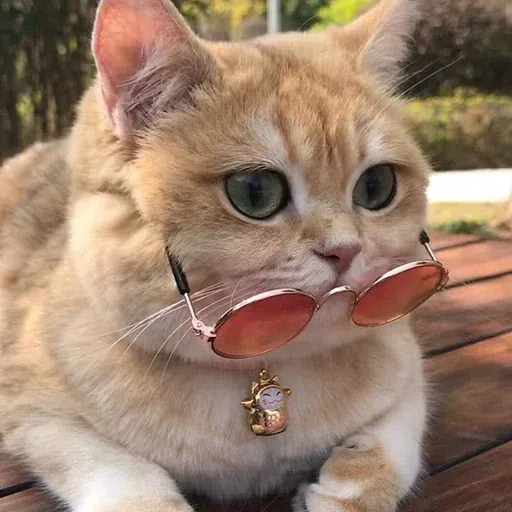 Fluff 1 - Sticker 21