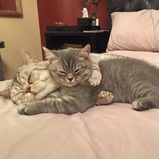 Fluff 1 - Sticker 9