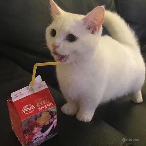 Fluff 1 - Sticker 14