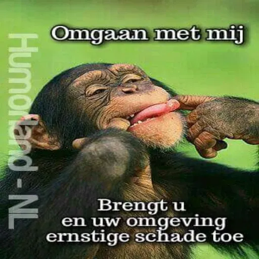 animals fun - Sticker 28