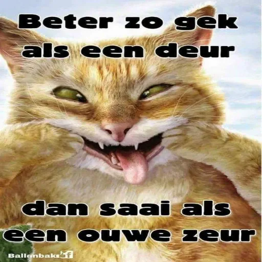 animals fun - Sticker 22