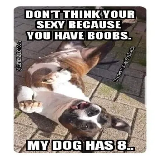 animals fun - Sticker 14