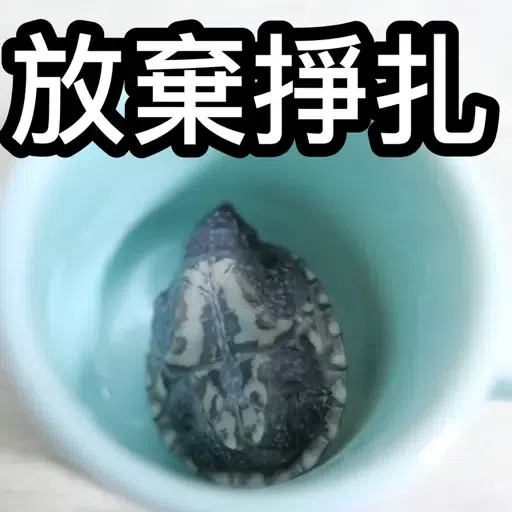 圭圭森森成長日記 - Sticker 13