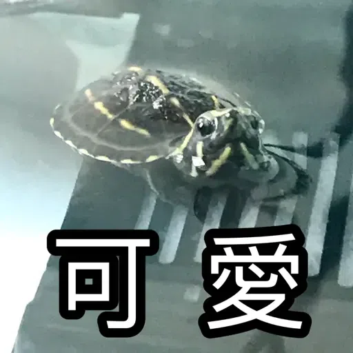 圭圭森森成長日記 - Sticker 18
