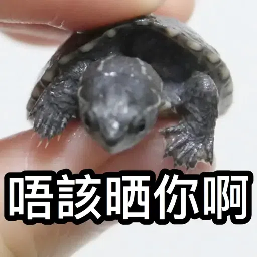 圭圭森森成長日記 - Sticker 12