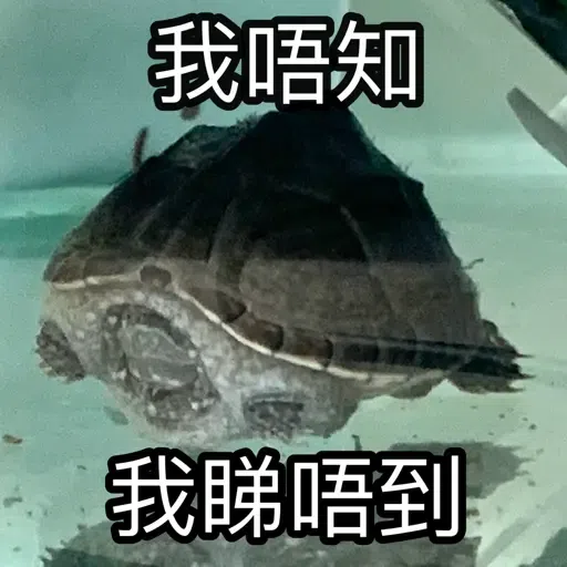 圭圭森森成長日記 - Sticker 19