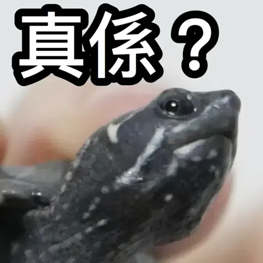 圭圭森森成長日記 - Sticker 10