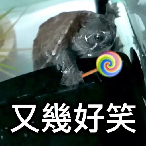 圭圭森森成長日記 - Sticker 15