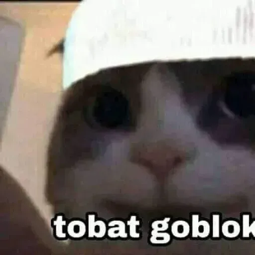 Meme - Sticker 22