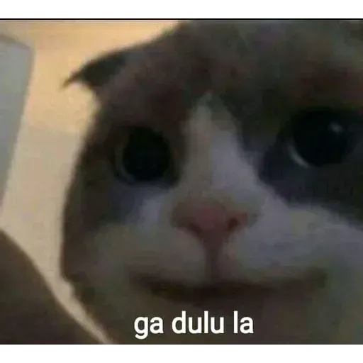 Meme - Sticker 25