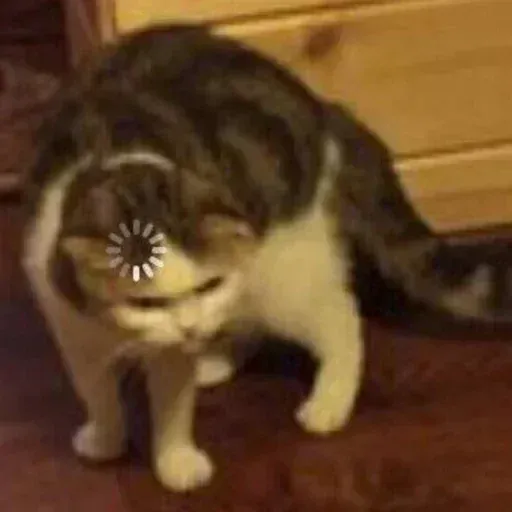 Meme - Sticker 10