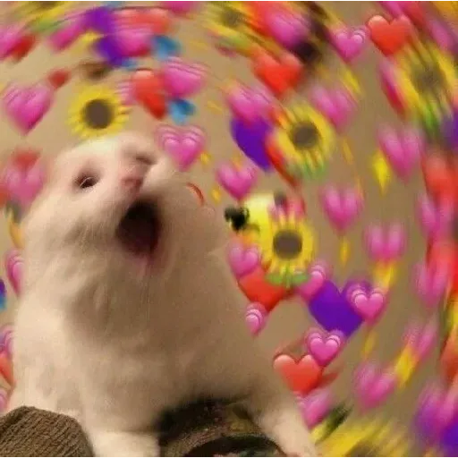 Meme - Sticker 29