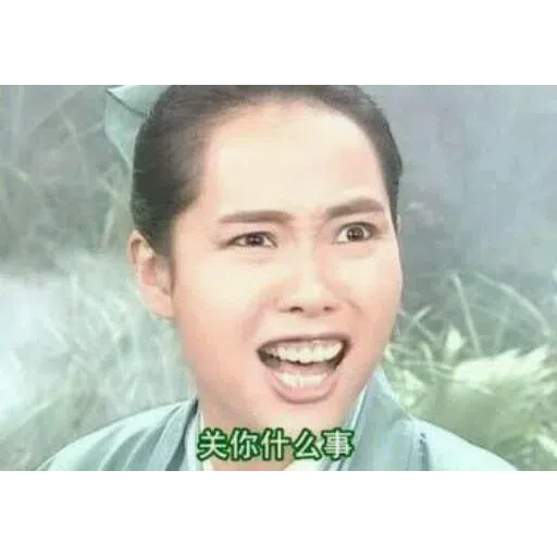 Chinese meme 11 - Sticker 18