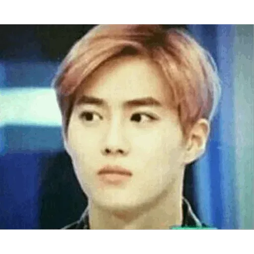 EXO MEME 2 - Sticker 28