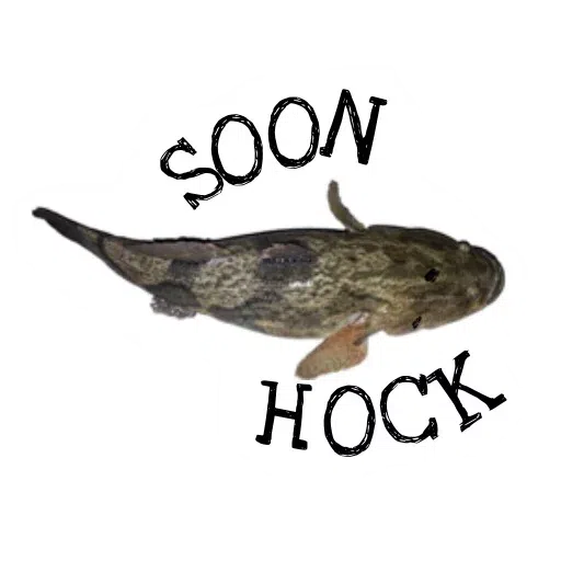 Losted - Sticker 25