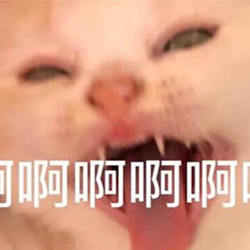 Meme - Sticker 26