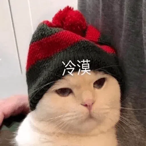 Meme - Sticker 11