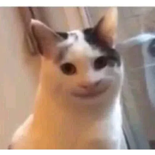 Meme - Sticker 25
