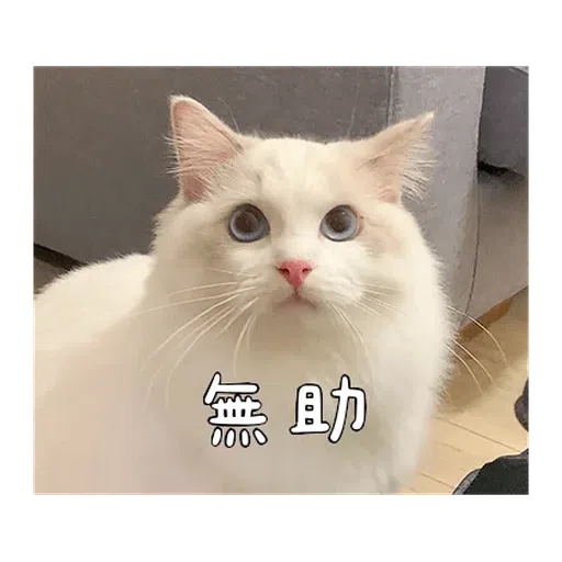 Catt - Sticker 11