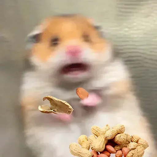 Hamster - Sticker 18