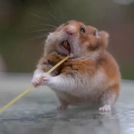 Hamster - Sticker 28