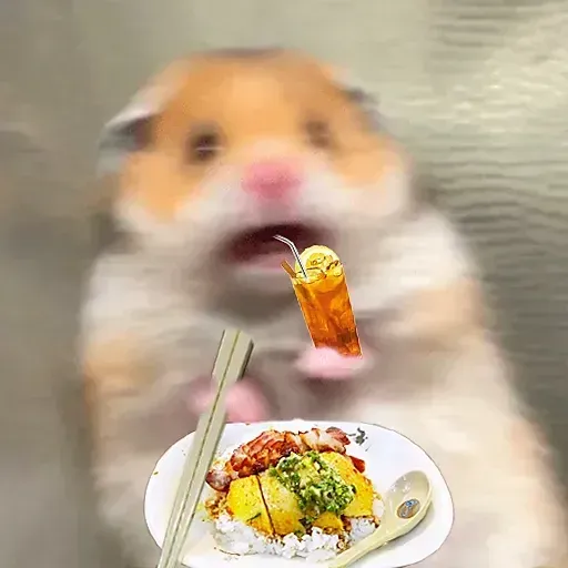Hamster - Sticker 17