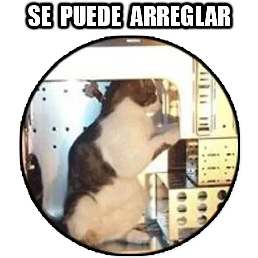 Frases2 - Sticker 17