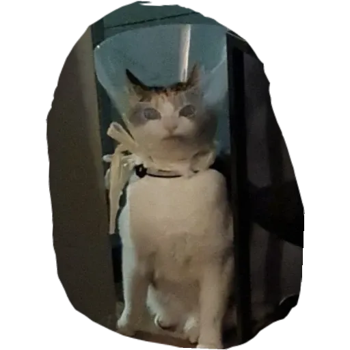 Mellow - Sticker 10