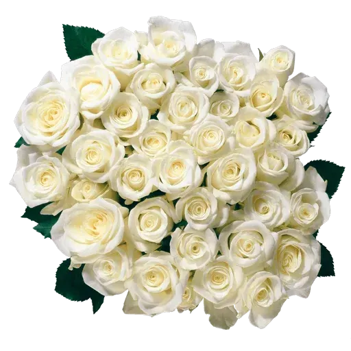 flower - Sticker 25