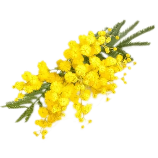 flower - Sticker 29