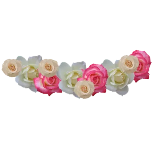 flower - Sticker 14