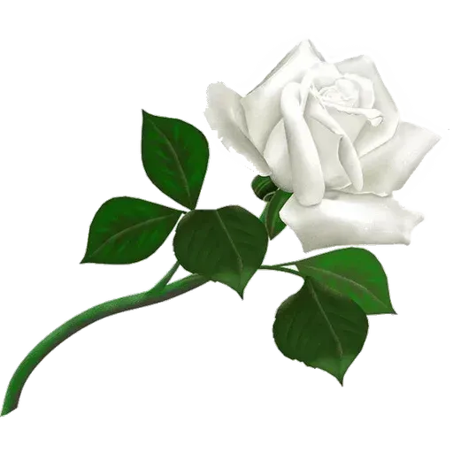 flower - Sticker 28