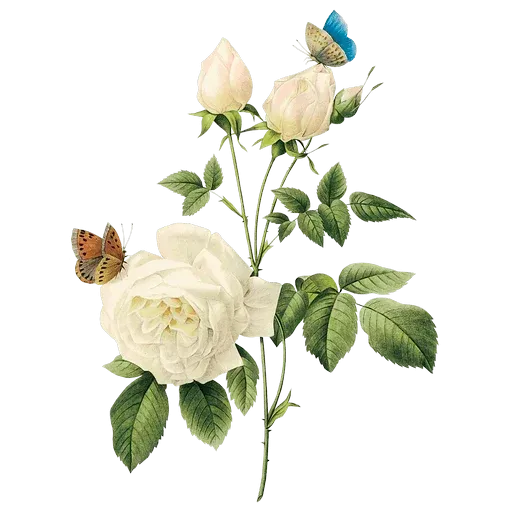 flower - Sticker 24