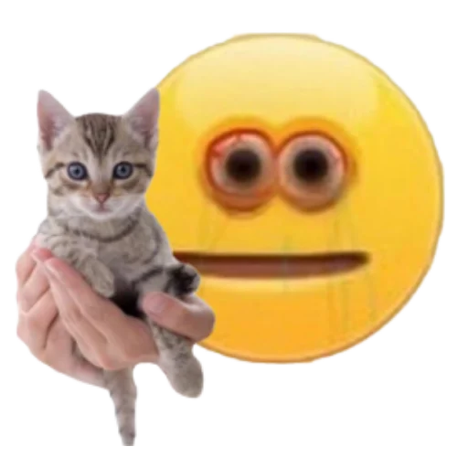 cursed emoji WhatsApp Stickers Stickers Cloud
