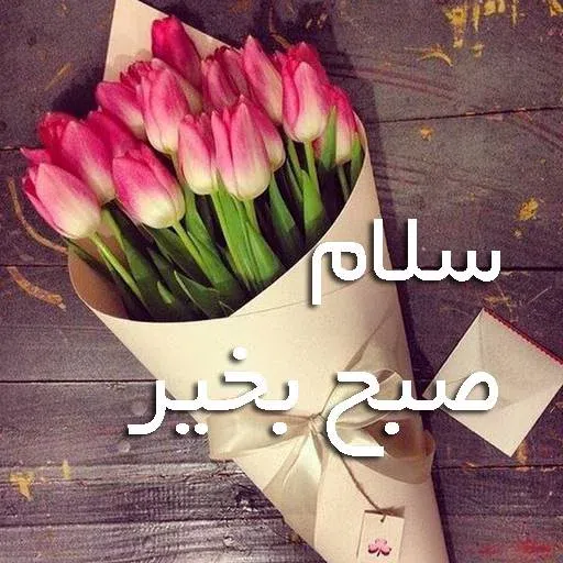 Sobhbekheir - Sticker 10