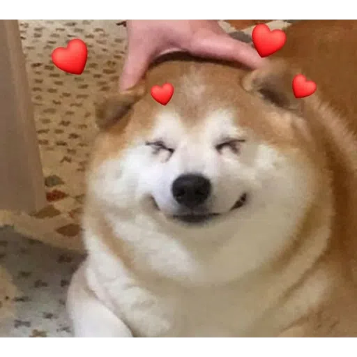 Doggos - Sticker 9