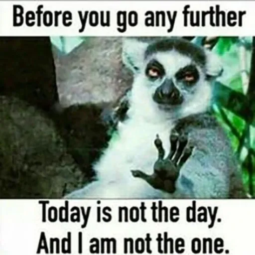funny22 - Sticker 14