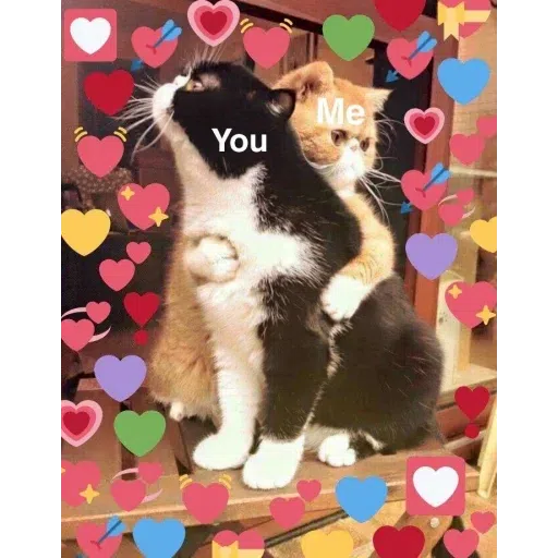 uwu - Sticker 9