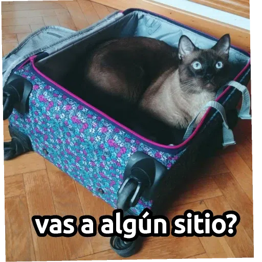TQTC - Sticker 11