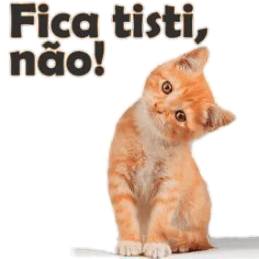 Divertidos - Sticker 17