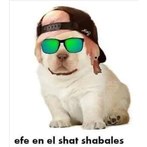 Memes en Español II - Sticker 16