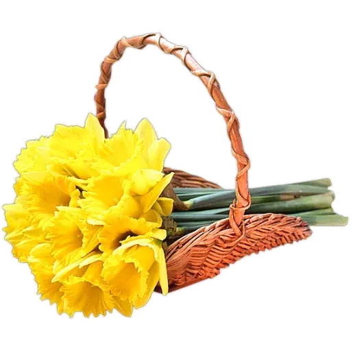Yellow Flowers @ykinanah - Sticker 15
