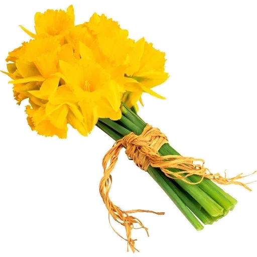 Yellow Flowers @ykinanah - Sticker 10