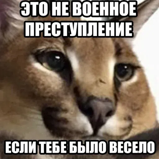 шлёпанцы - Sticker 19