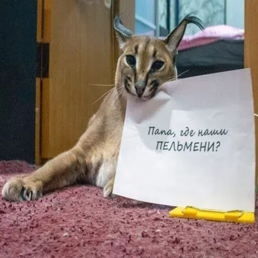 шлёпанцы - Sticker 27
