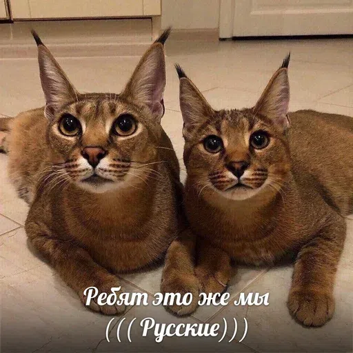 шлёпанцы - Sticker 9