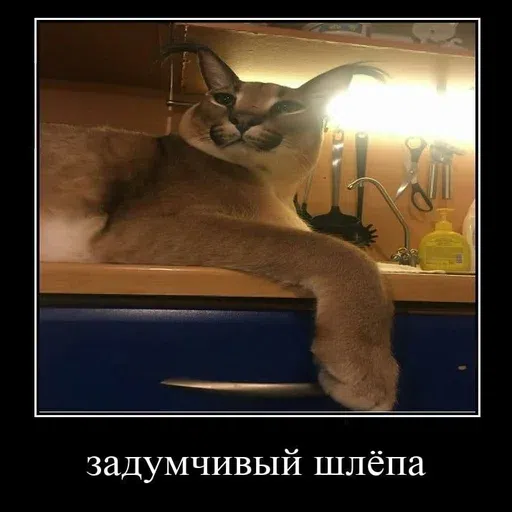 шлёпанцы - Sticker 12