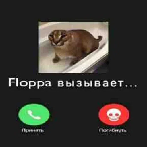 шлёпанцы - Sticker 14
